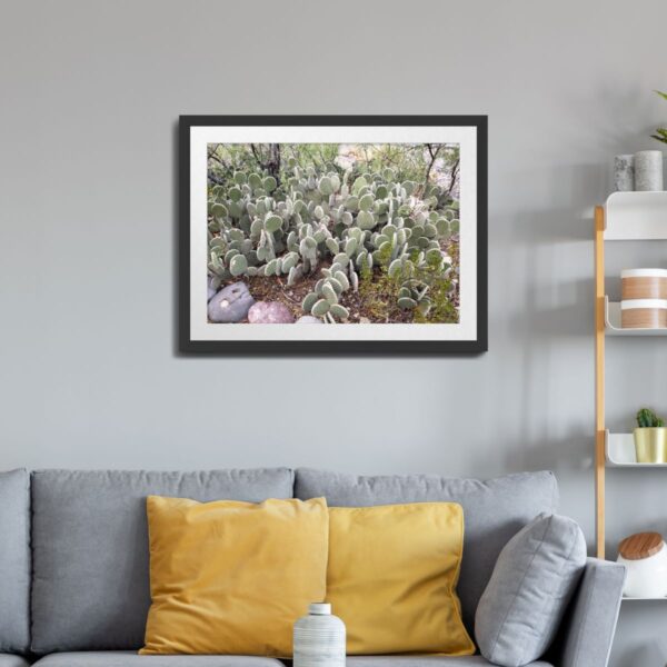 Prickly Pear Cactus in Caballo, New Mexico - Desert Plant Art Print - Image 2