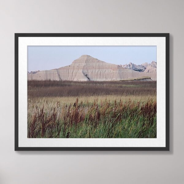 A scenic photograph of lush reeds swaying in front of the dramatic rock formations of Badlands National Park, South Dakota, captured in natural light.