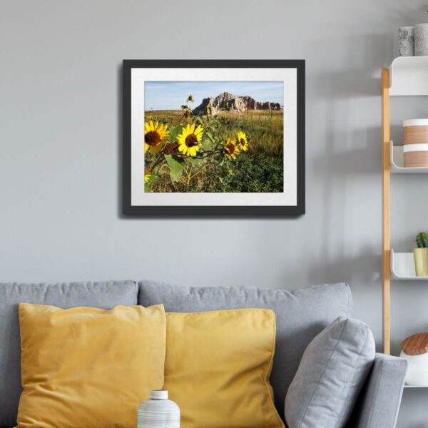 Sunflowers at Badlands National Park, South Dakota Art Print - Image 3