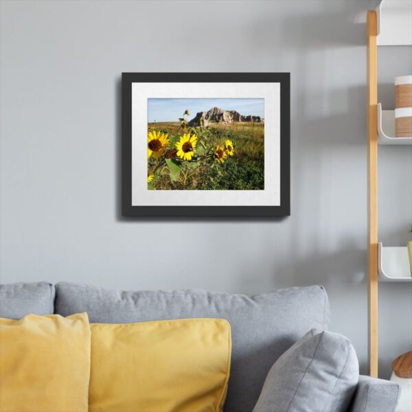 Sunflowers at Badlands National Park, South Dakota Art Print - Image 4