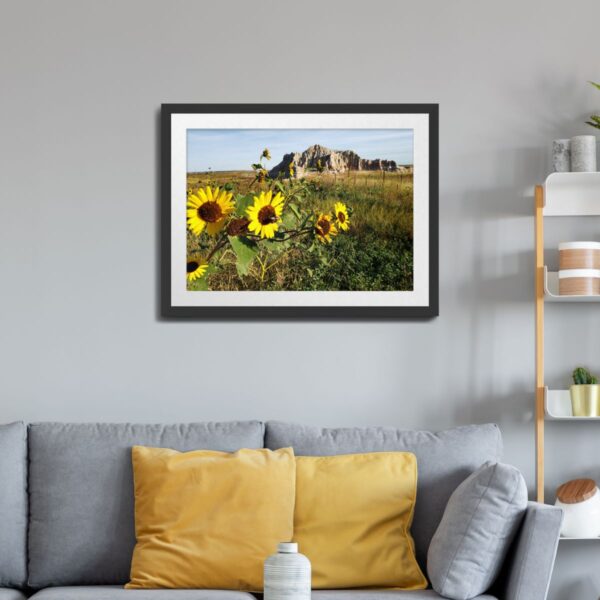 Sunflowers at Badlands National Park, South Dakota Art Print - Image 2