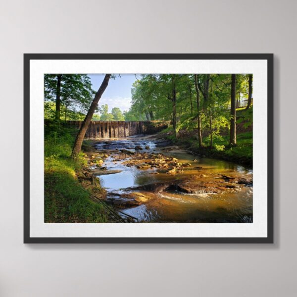 Photograph of a tranquil waterfall in Central North Carolina, surrounded by vibrant green trees and illuminated by soft sunlight.