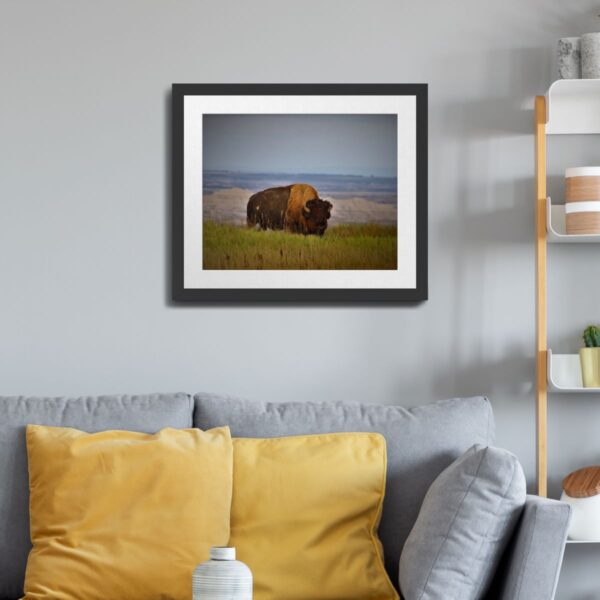 Wild Buffalo at Badlands National Park, South Dakota Art Print - Image 3