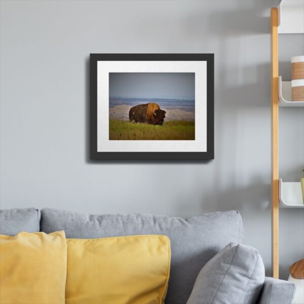 Wild Buffalo at Badlands National Park, South Dakota Art Print - Image 4