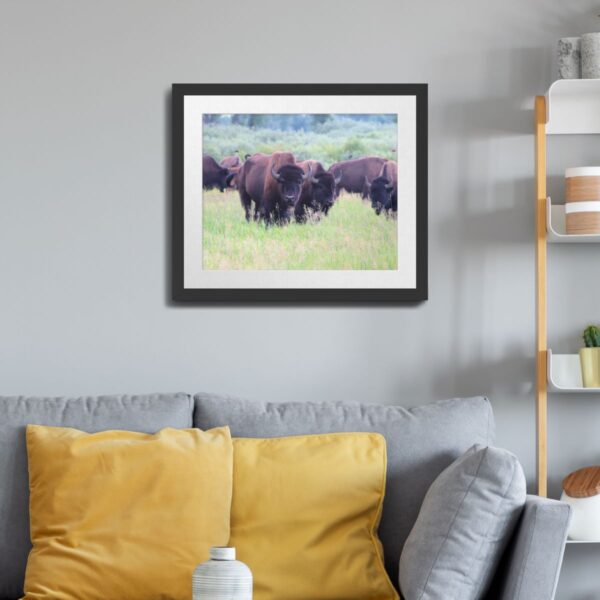 Wild Buffalo at Grand Teton National Park - Unframed Art Print - Image 3