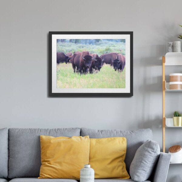 Wild Buffalo at Grand Teton National Park - Unframed Art Print - Image 2