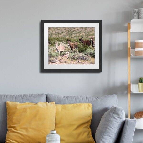 Wild Donkey Herd in Beatty, Nevada - Desert Wildlife Art Print - Image 3