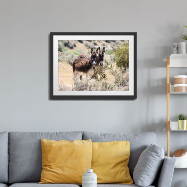 Wild Donkey Pair in Beatty, Nevada - Scenic Desert Wildlife Art Print - Image 2