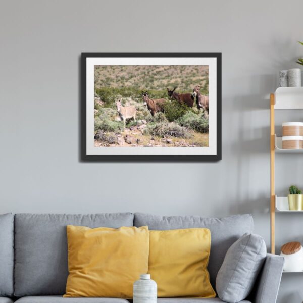 Wild Donkey Herd in Beatty, Nevada - Desert Wildlife Art Print - Image 2