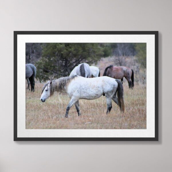 Photograph of wild horses grazing in the grasslands of Theodore Roosevelt National Park, surrounded by natural vegetation and trees.