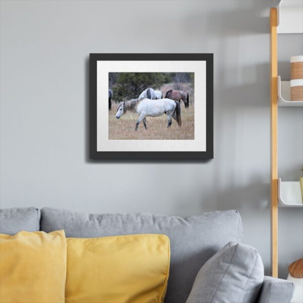 Wild Horses at Theodore Roosevelt National Park Photography - Image 4