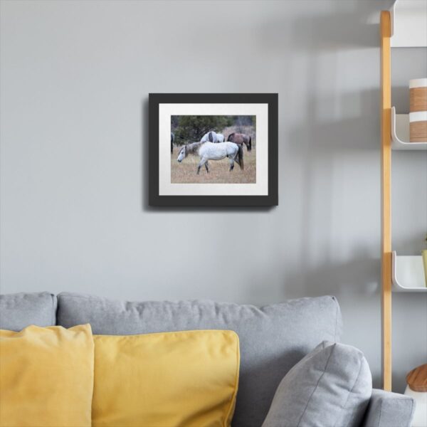 Wild Horses at Theodore Roosevelt National Park Photography - Image 5