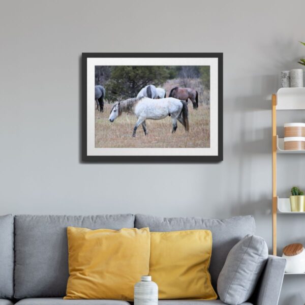 Wild Horses at Theodore Roosevelt National Park Photography - Image 2