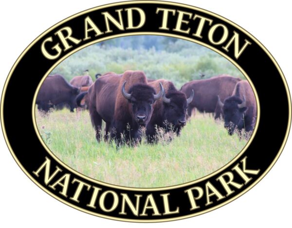 Wild Buffalo Grand Teton National Park T-Shirt – Iconic Wildlife Comfort Colors Tee (Back print, Black graphic) - Image 2