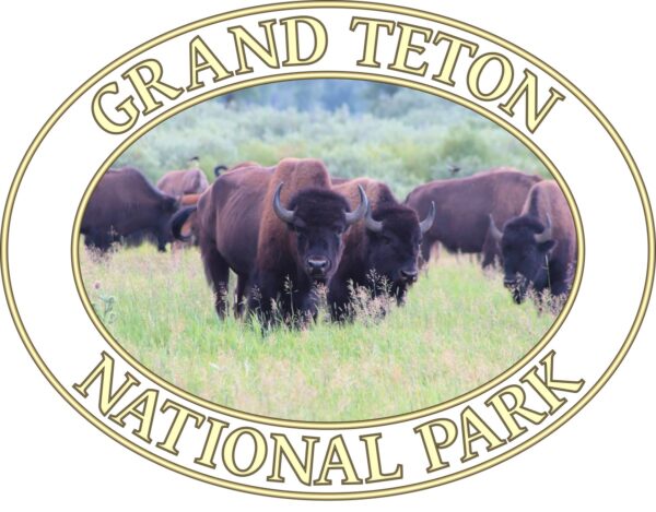 Wild Buffalo Grand Teton National Park T-Shirt – Iconic Wildlife Comfort Colors Tee (Back print, Transparent graphic) - Image 2