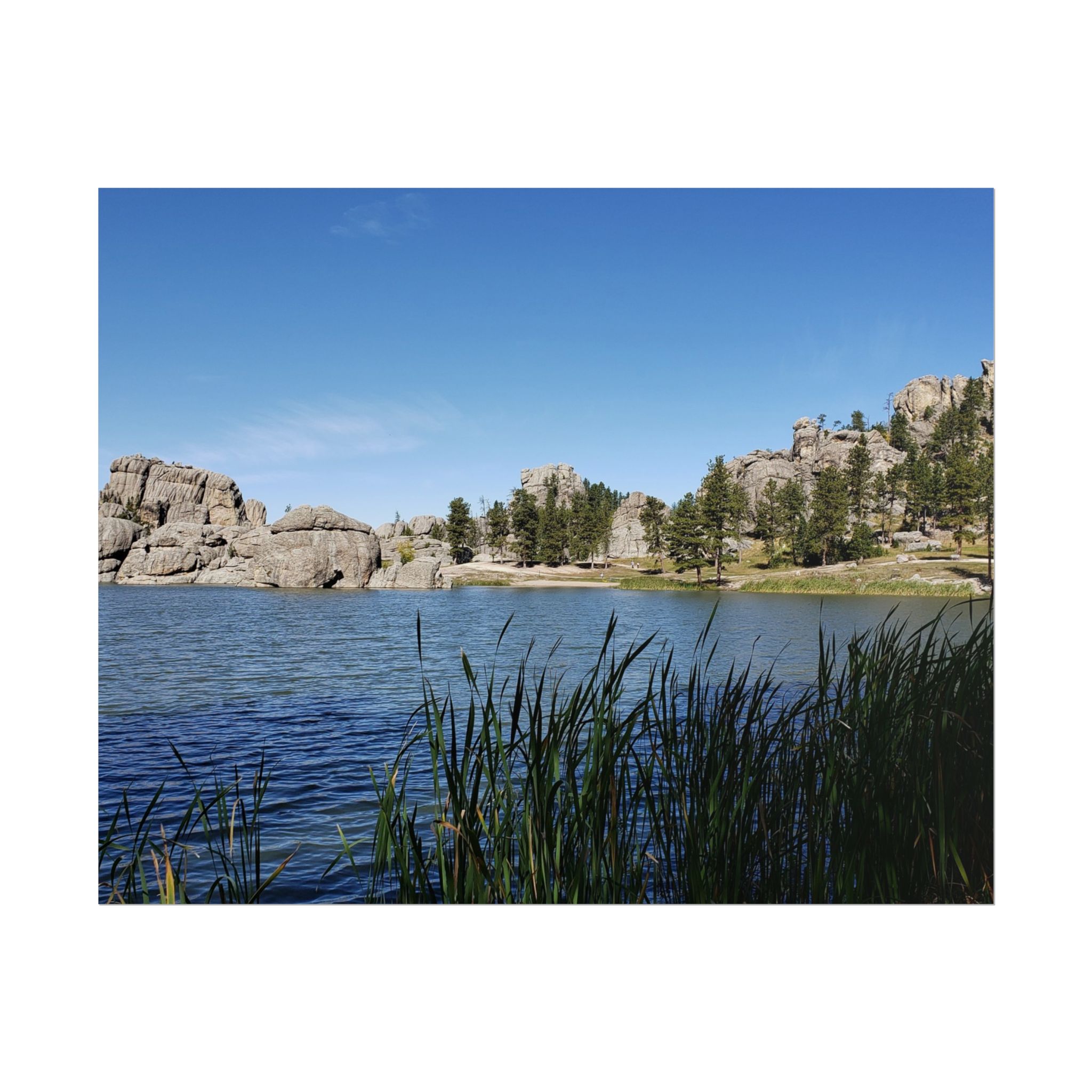 Sylvan Lake at Custer State Park South Dakota Scenic Nature Landscape Matte Poster Print – Black Hills National Forest Wildlife and Outdoor Adventure Wall Art - Image 9