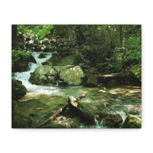 Cumberland Gap Mountain Stream Photography – Serene Appalachian Forest Creek Wrapped Canvas Wall Art Tennessee Landscape Décor
