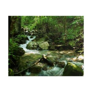 Mountain Stream in Cumberland Gap National Historical Park Tennessee – Serene Forest Creek Photography Print on Premium Matte Paper Wall Art Nature Landscape Décor