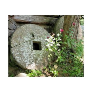 Ely’s Mill Grinding Stone with Moss and Wildflowers – Historic Grist Mill Relic in the Great Smoky Mountains National Park, Gatlinburg Tennessee – Rustic Appalachian Heritage Fine Art Print