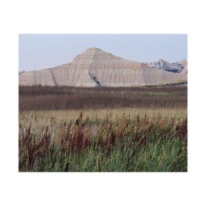 Badlands National Park South Dakota Fine Art Print | Prairie Grass, Reeds, and Buttes Photography on Premium 300 gsm Archival Paper | Rustic Western Wilderness Wall Décor