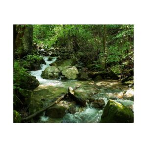 Cumberland Gap Tennessee Mountain Stream – Appalachian Forest Creek Fine Art Print on Archival 300 gsm Paper Nature Landscape Photography Wall Décor