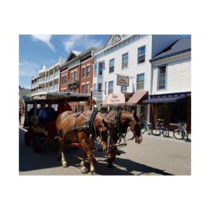 Downtown Horse and Carriage on Mackinac Island Fine Art Print – Historic Michigan Street Scene Photography – Great Lakes Travel Wall Décor – Horses, Carriage Rides, and Island Life Premium 300 gsm Poster (Unframed)