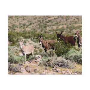 Wild Donkey Family in Nevada Matte Print – Desert Wildlife Photography – Burros in Natural Habitat Poster Wall Art (Unframed)