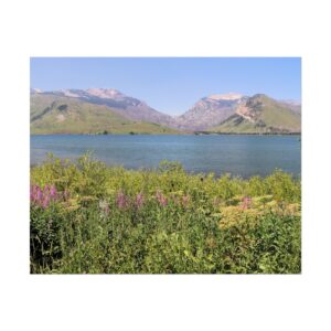 Jackson Lake with Wildflowers and Mountain Views at Grand Teton National Park – Scenic Landscape Wall Art Photography Print on Premium Matte 200gsm Paper