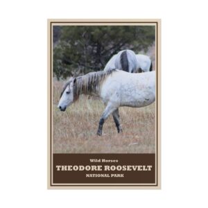 Wild Horses Theodore Roosevelt National Park Vintage Travel Poster – Retro Wall Art Print, Scenic Prairie & Wildlife Decor, Unframed Matte Paper Poster – Perfect Gift for Nature & Horse Lovers