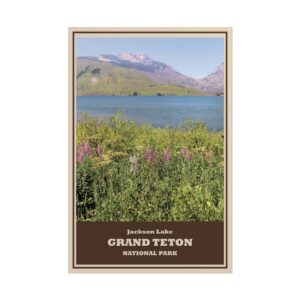 Jackson Lake Grand Teton National Park Vintage Travel Poster – Wyoming Wildflowers & Scenic Lake Print – Mountain Wilderness & Nature Adventure Wall Art