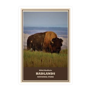 Wild Buffalo at Badlands National Park Vinyl Sticker – Majestic Bison Prairie Wildlife Decal | Waterproof, UV-Resistant Travel Souvenir Supporting Badlands Conservation