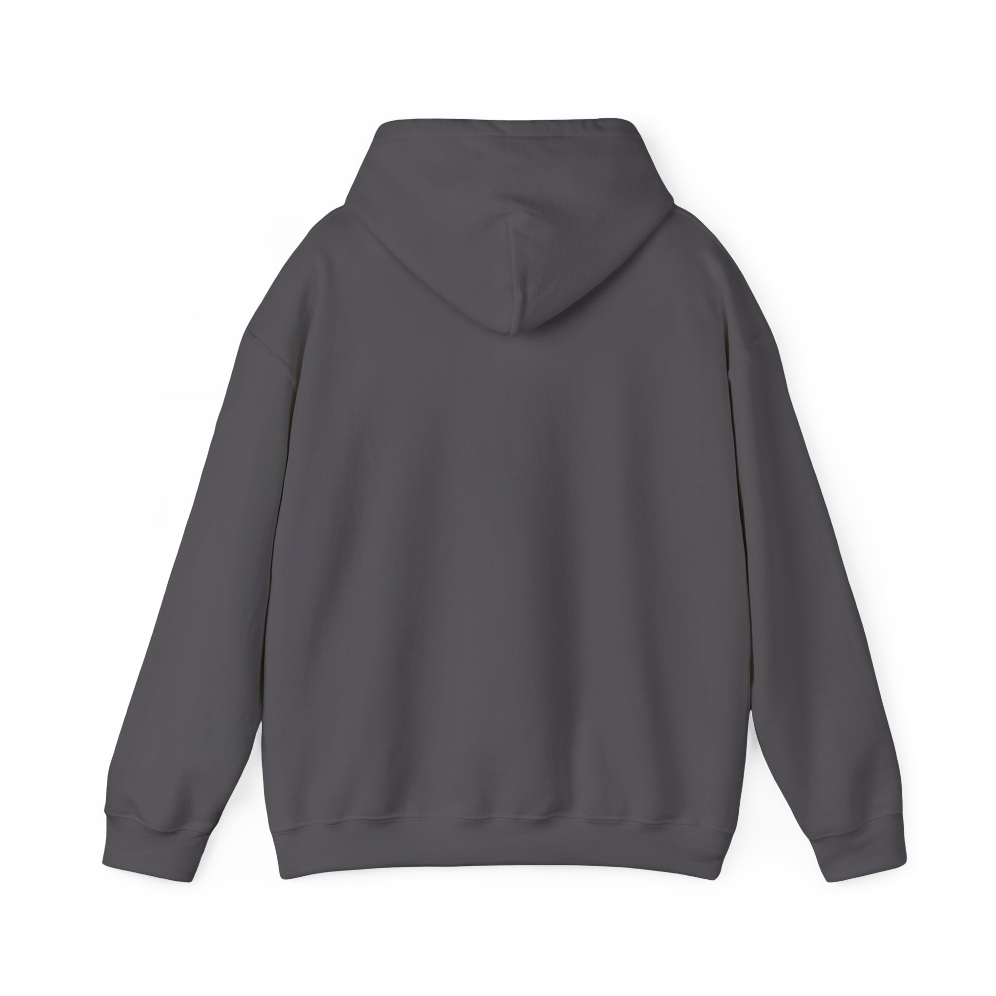 Harbor and Downtown Mackinac Island Michigan Pullover Hoodie – Scenic Great Lakes Nature Logo, Cozy Fleece, Unisex, GentleSeas - Image 26