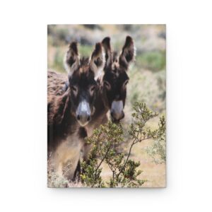 Wild Donkey Couple in Western Nevada Hardcover Journal - Travel Notebook with Matte Cover