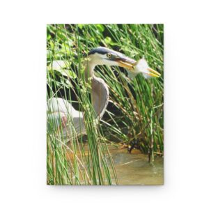 Blue Heron Catching a Fish Hardcover Journal - Eastern North Carolina Wildlife Photography Notebook