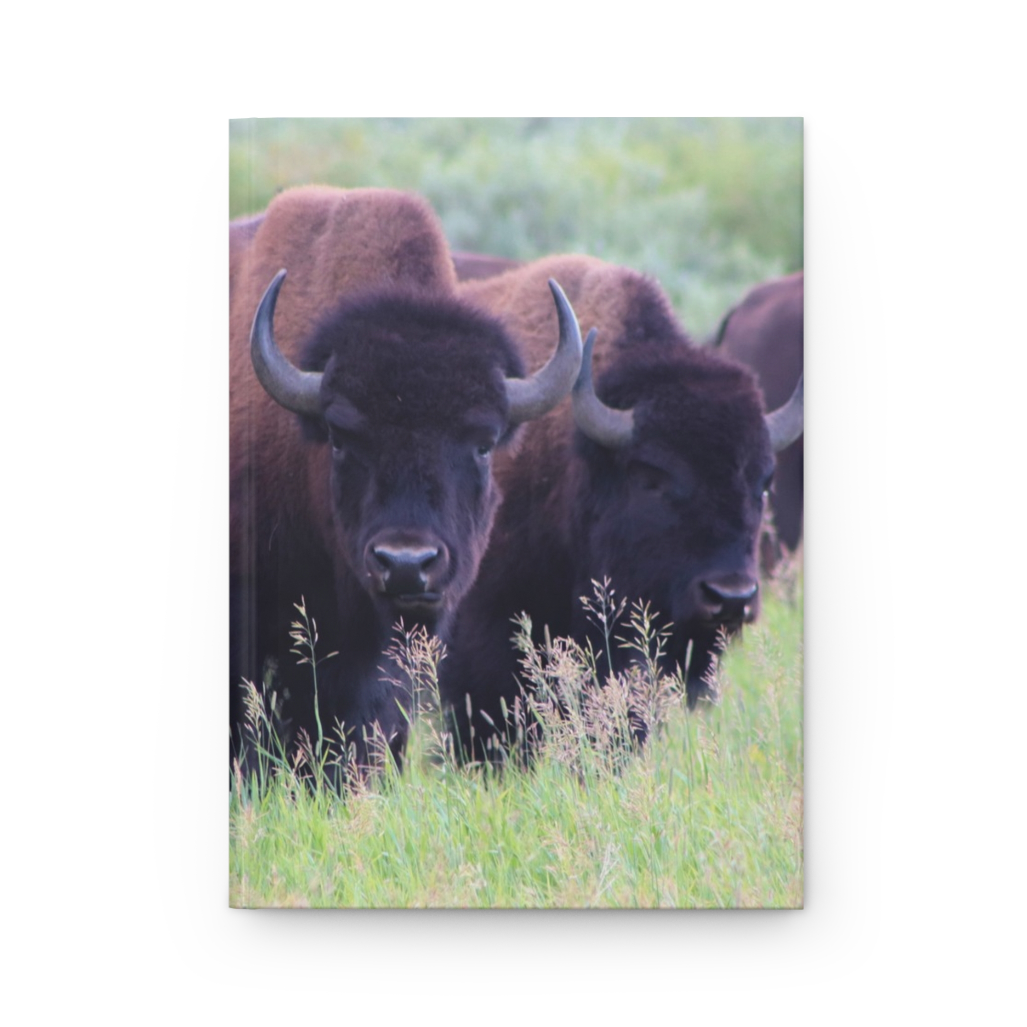 Wild Buffalo Herd in a Grassy Meadow Hardcover Journal, Grand Teton National Park Inspired Travel Notebook, Original Photography - Image 2