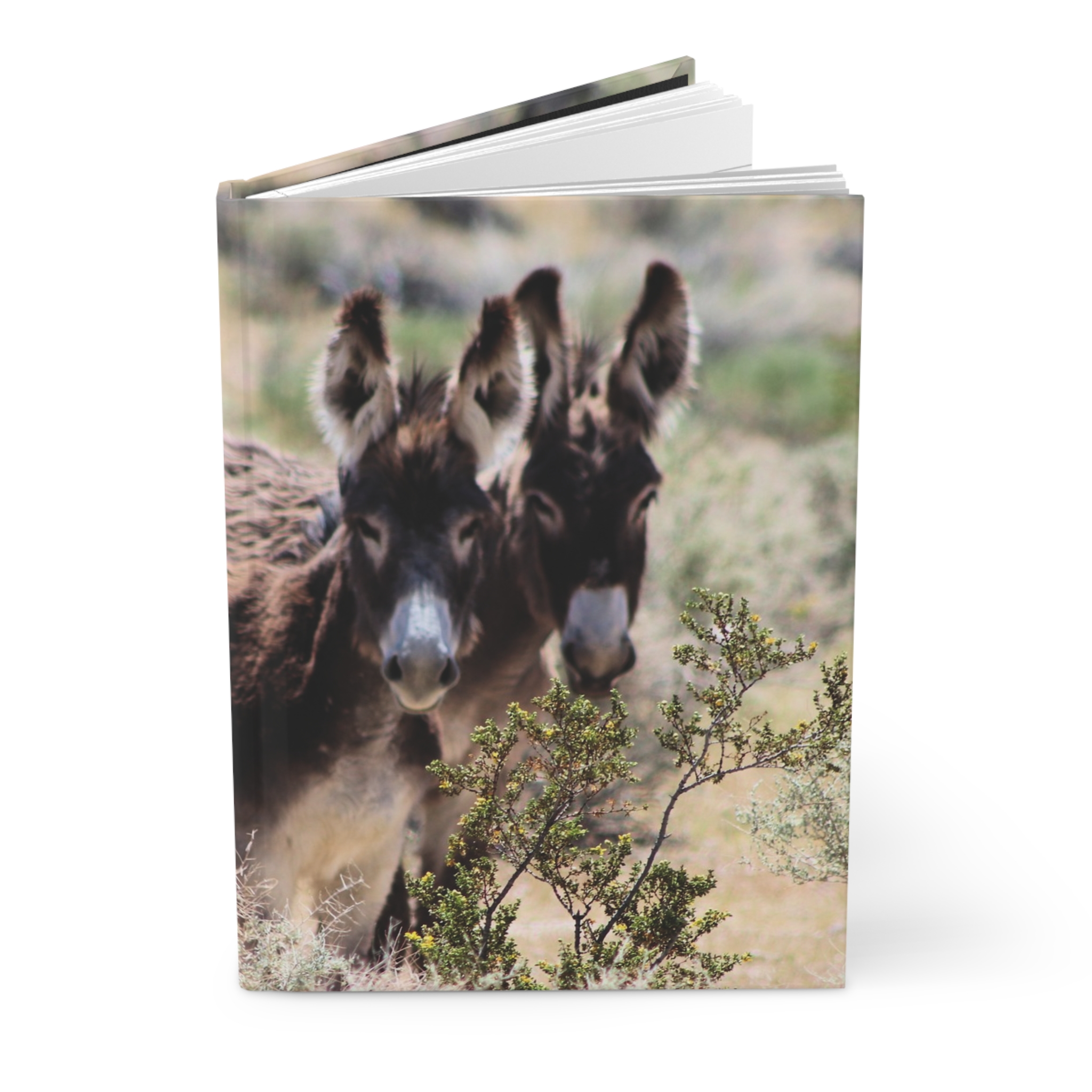 Wild Donkey Couple in Western Nevada Hardcover Journal - Travel Notebook with Matte Cover - Image 3