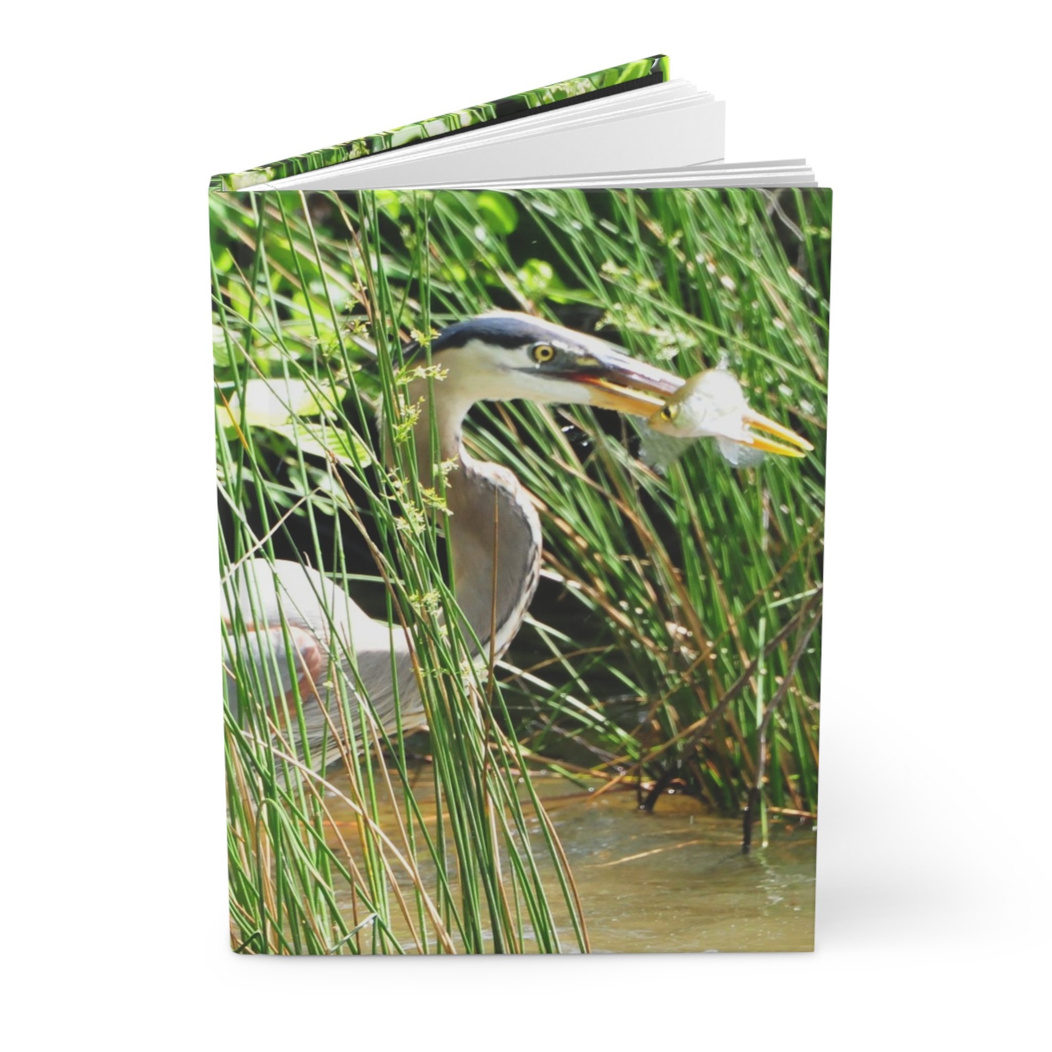 Blue Heron Catching a Fish Hardcover Journal - Eastern North Carolina Wildlife Photography Notebook - Image 3