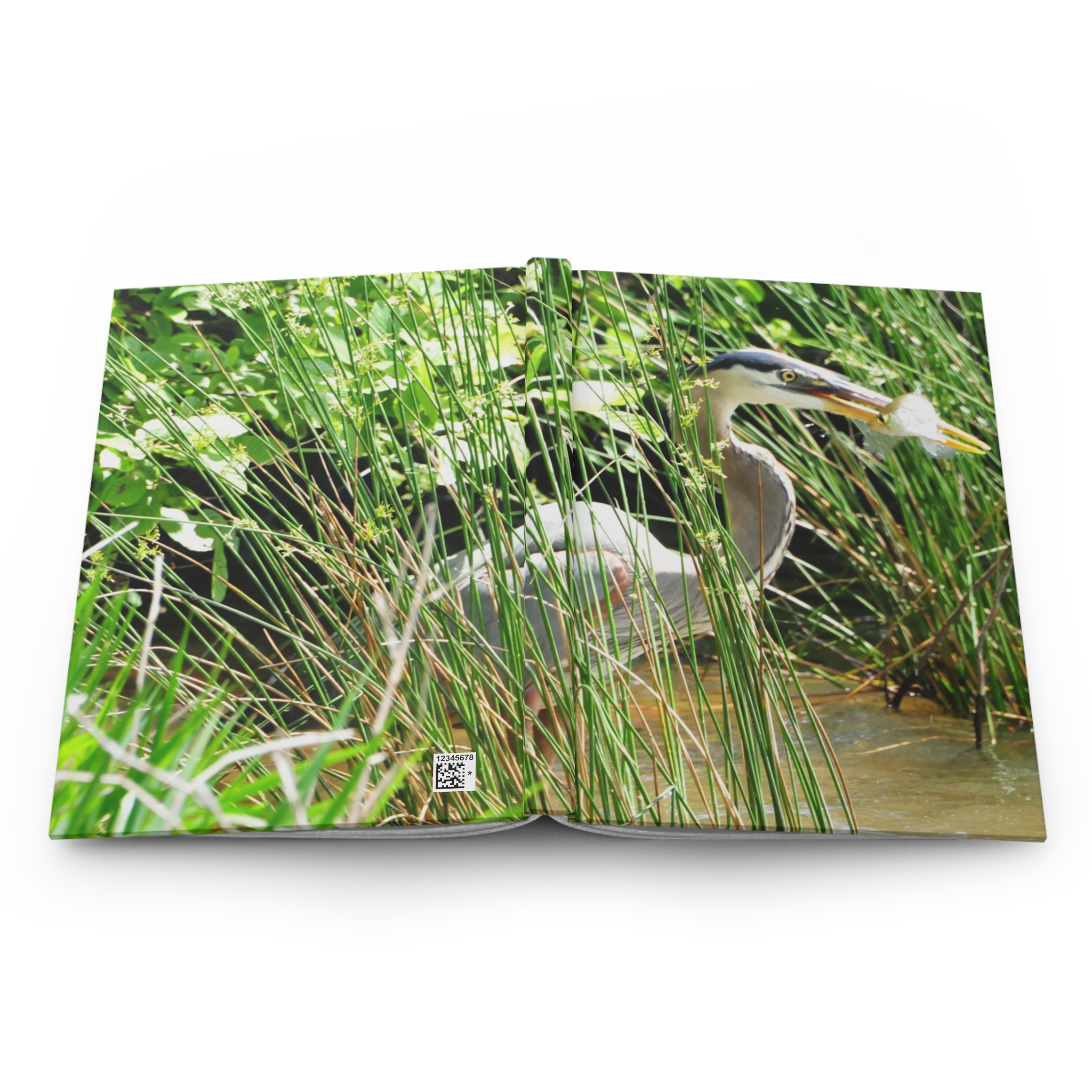 Blue Heron Catching a Fish Hardcover Journal - Eastern North Carolina Wildlife Photography Notebook - Image 5