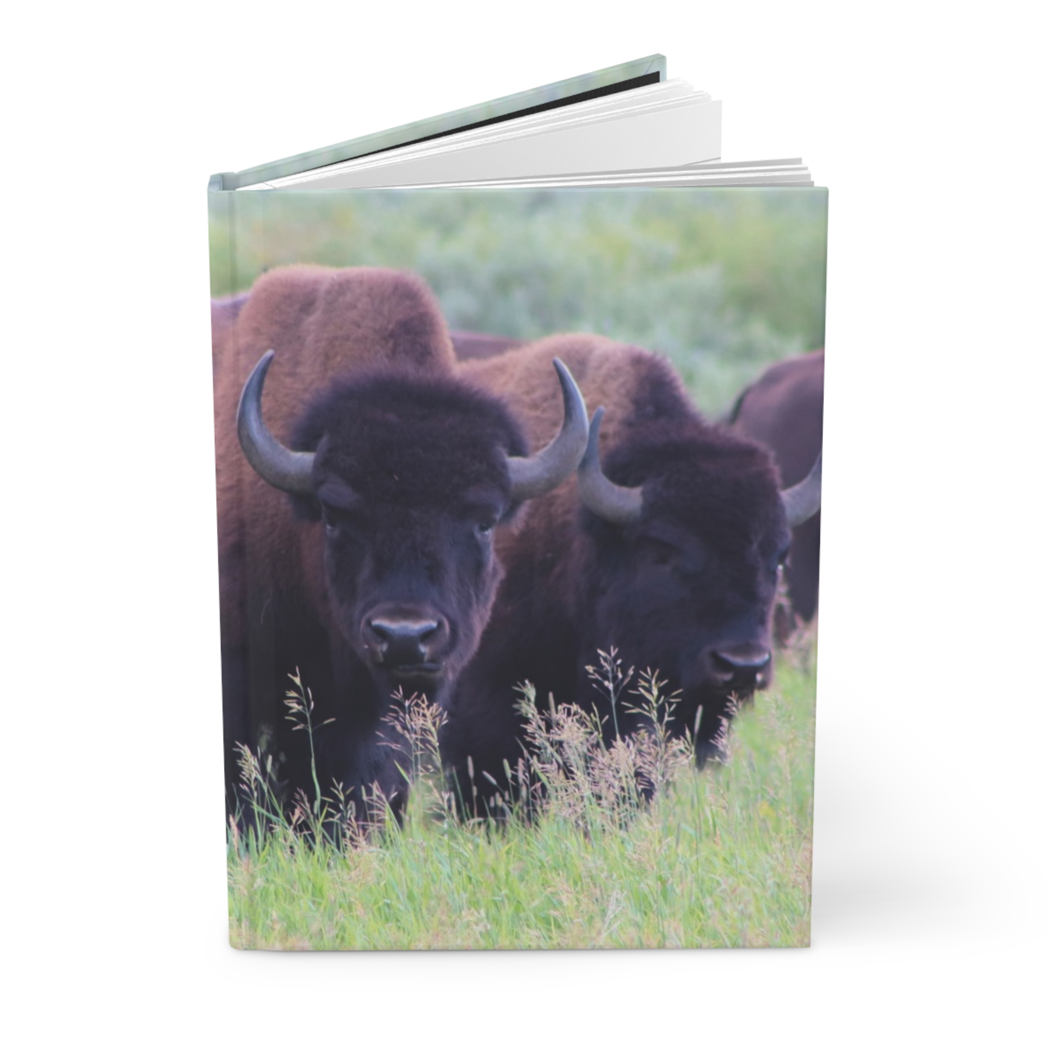 Wild Buffalo Herd in a Grassy Meadow Hardcover Journal, Grand Teton National Park Inspired Travel Notebook, Original Photography