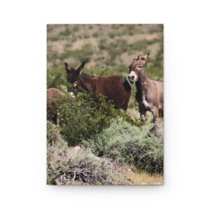 Wild Donkey Family in Western Nevada Hardcover Journal with Premium Matte Cover and 150 Lined Pages