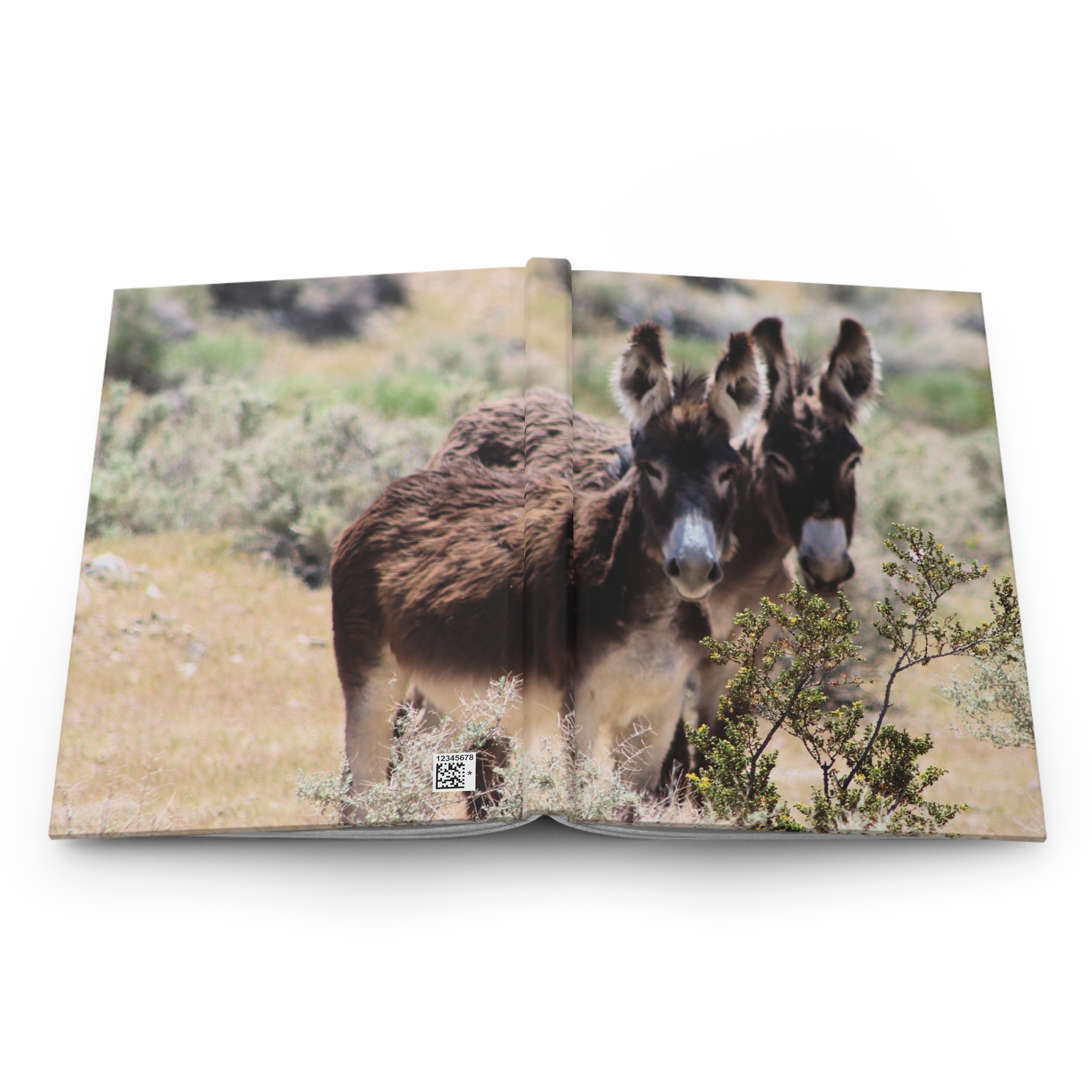Wild Donkey Couple in Western Nevada Hardcover Journal - Travel Notebook with Matte Cover - Image 5