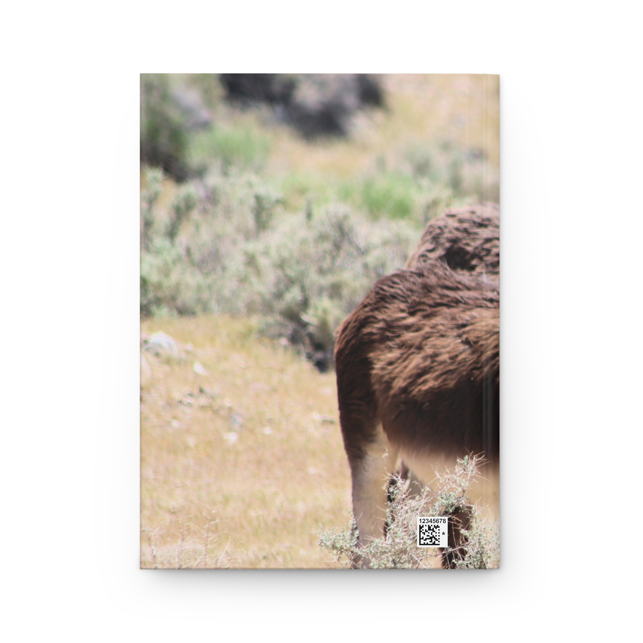 Wild Donkey Couple in Western Nevada Hardcover Journal - Travel Notebook with Matte Cover - Image 2