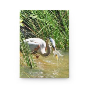 Blue Heron Catching a Fish Hardcover Journal, Featuring Eastern North Carolina Original Wildlife Photography