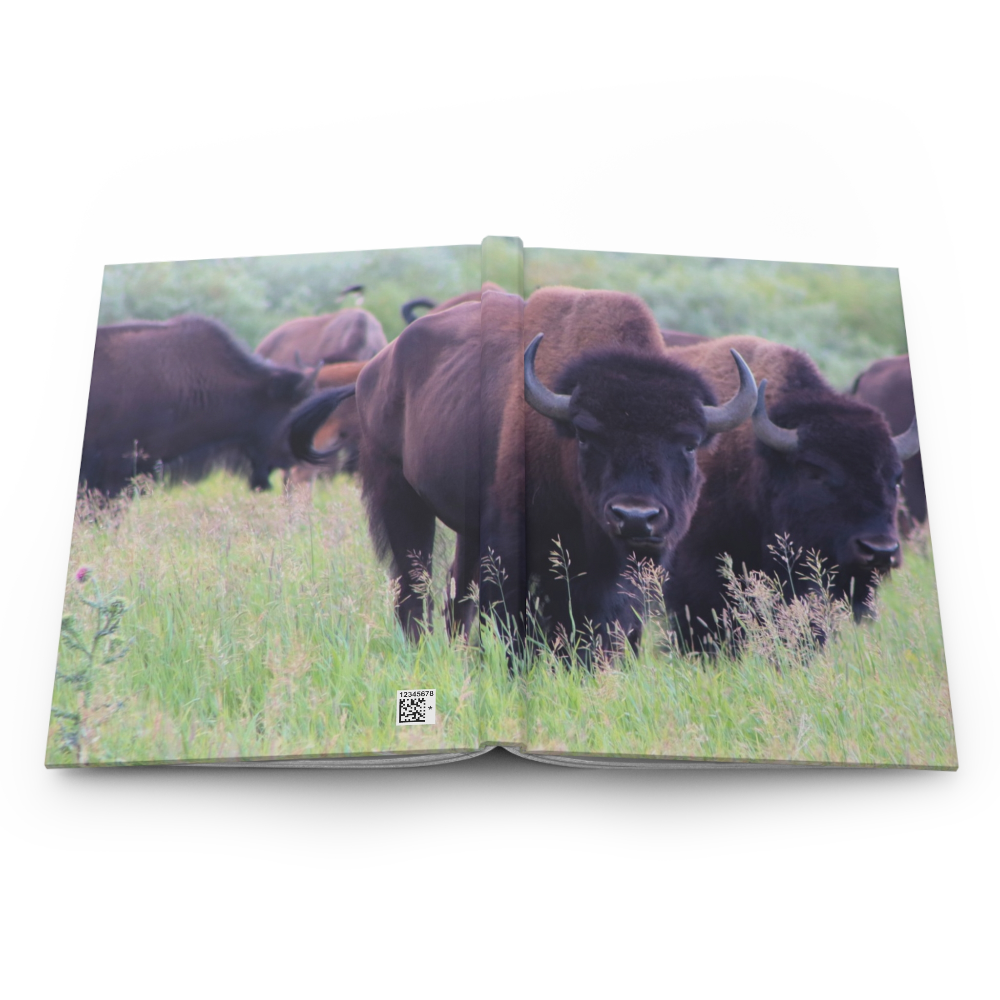 Wild Buffalo Herd in a Grassy Meadow Hardcover Journal, Grand Teton National Park Inspired Travel Notebook, Original Photography - Image 5