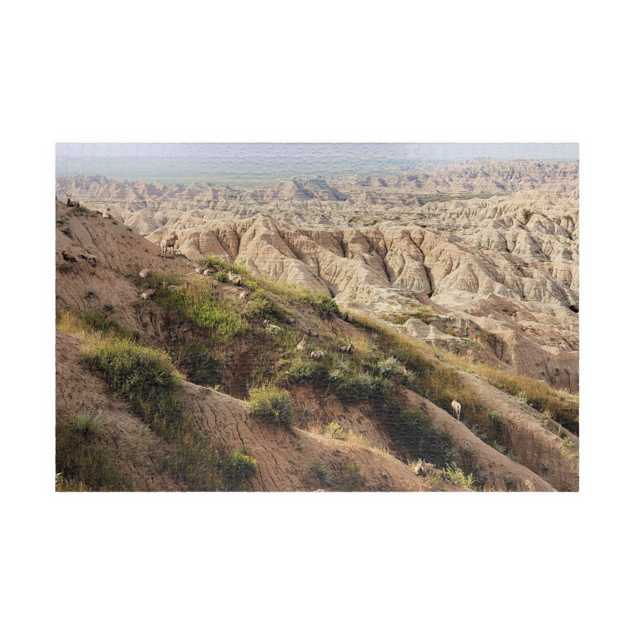 Bighorn Sheep Herd Puzzle Featuring Badlands National Park Landscape - Multiple Sizes - Image 13