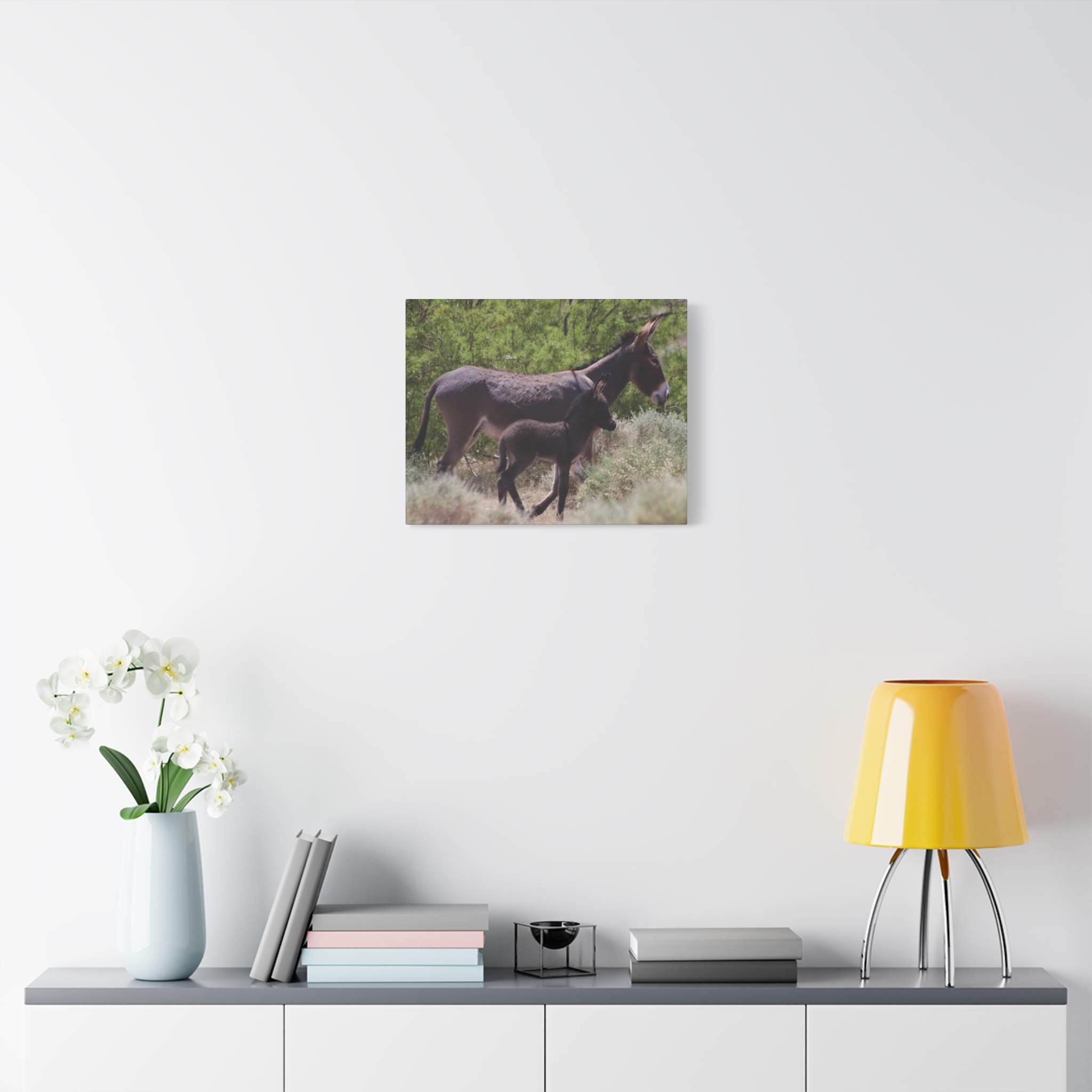 Father and Son Wild Donkeys in Nevada Wrapped Canvas Wall Art – Southwestern Desert Wildlife Photography – Burros in Nature Print Ready to Hang - Image 11