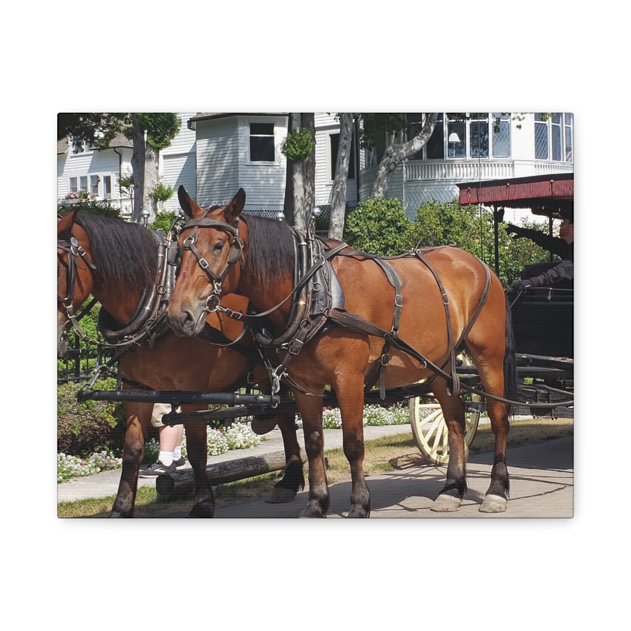 Horse and Carriage on West Bluff Mackinac Island Wrapped Canvas Wall Art – Historic Michigan Landmark Photography – Great Lakes Travel Décor – Horses, Carriage Rides, and Victorian Island Homes Print... - Image 5