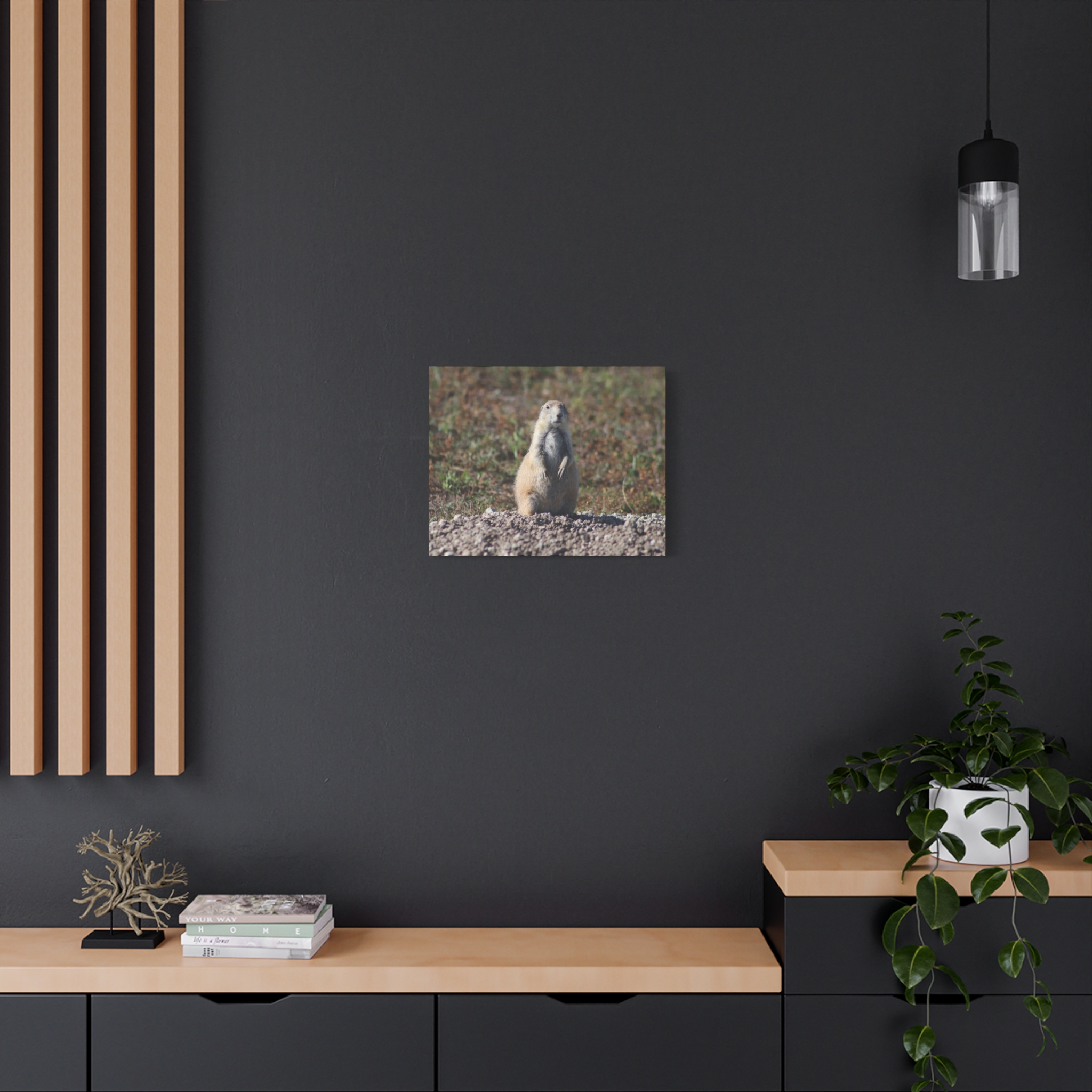 Prairie Dog Wrapped Canvas Wall Art – Badlands National Park, South Dakota Wildlife and Prairie Landscape Photography – Gallery-Wrapped, Ready-to-Hang Rustic Western Home Décor - Image 12