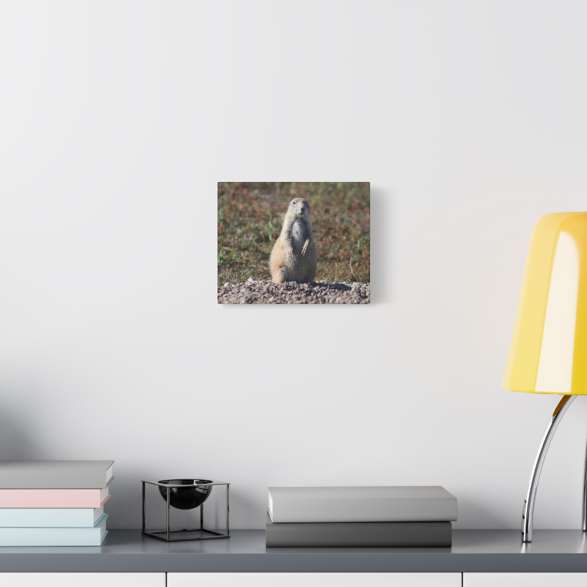 Prairie Dog Wrapped Canvas Wall Art – Badlands National Park, South Dakota Wildlife and Prairie Landscape Photography – Gallery-Wrapped, Ready-to-Hang Rustic Western Home Décor - Image 3