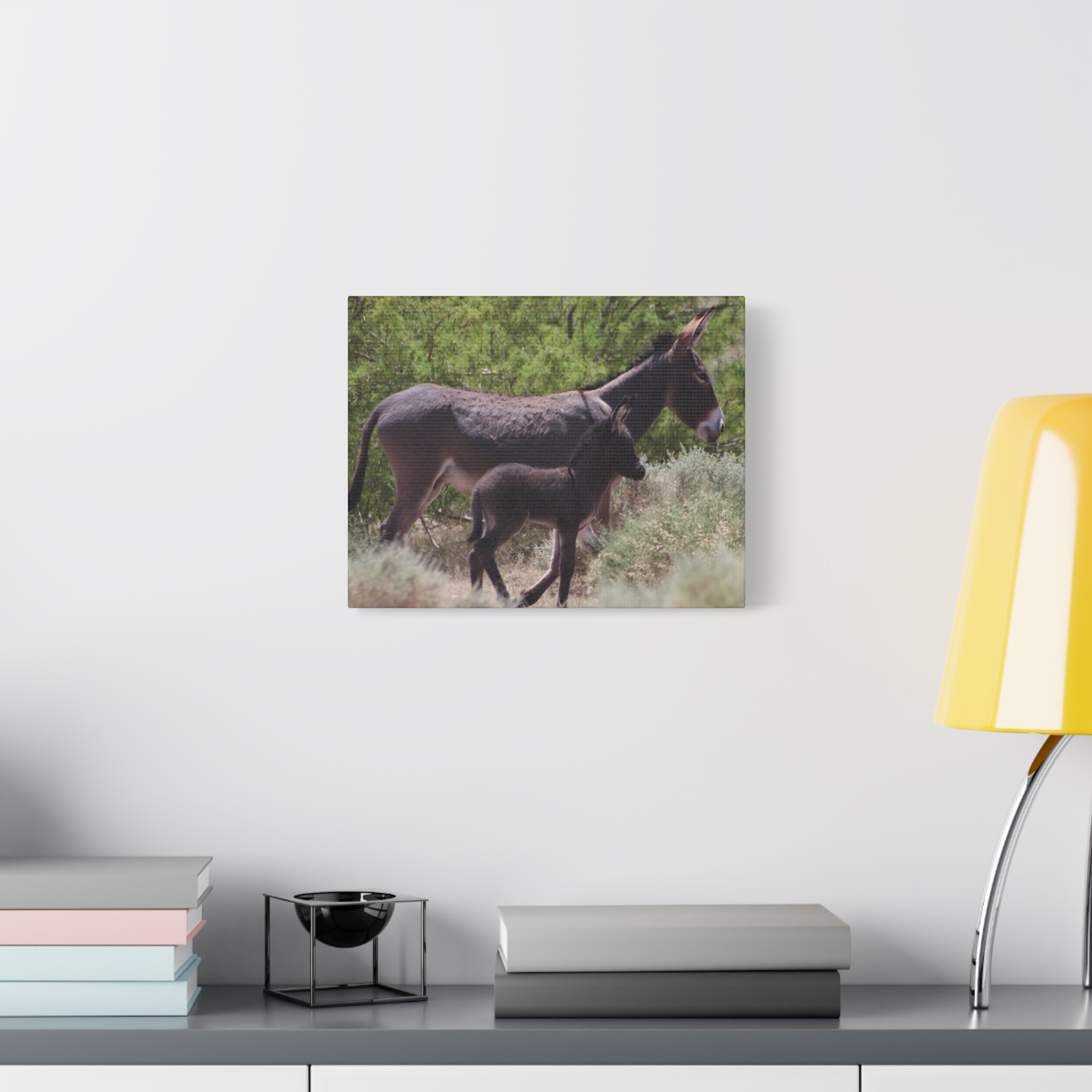 Father and Son Wild Donkeys in Nevada Wrapped Canvas Wall Art – Southwestern Desert Wildlife Photography – Burros in Nature Print Ready to Hang - Image 7